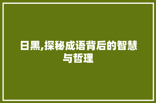 日黑,探秘成语背后的智慧与哲理
