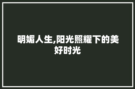 明媚人生,阳光照耀下的美好时光