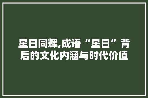 星日同辉,成语“星日”背后的文化内涵与时代价值