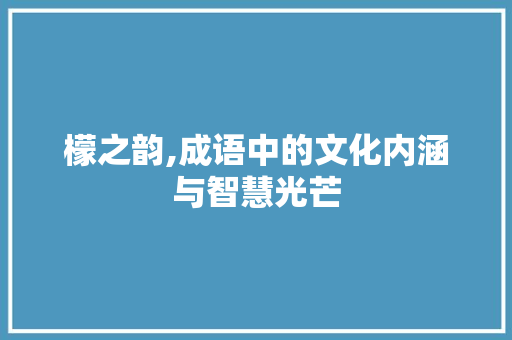 檬之韵,成语中的文化内涵与智慧光芒