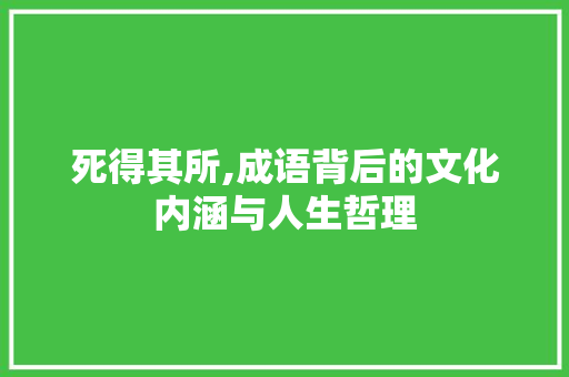 死得其所,成语背后的文化内涵与人生哲理