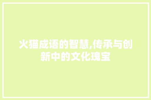 火猫成语的智慧,传承与创新中的文化瑰宝