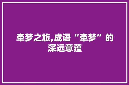 牵梦之旅,成语“牵梦”的深远意蕴