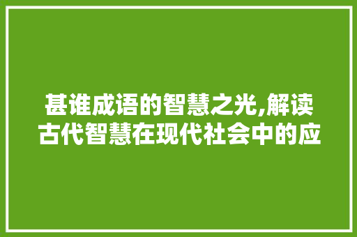 甚谁成语的智慧之光,解读古代智慧在现代社会中的应用
