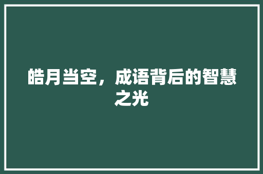 皓月当空，成语背后的智慧之光