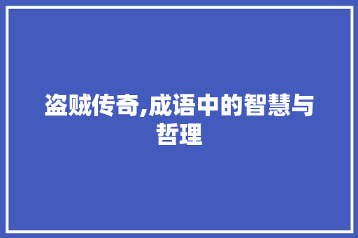 盗贼传奇,成语中的智慧与哲理