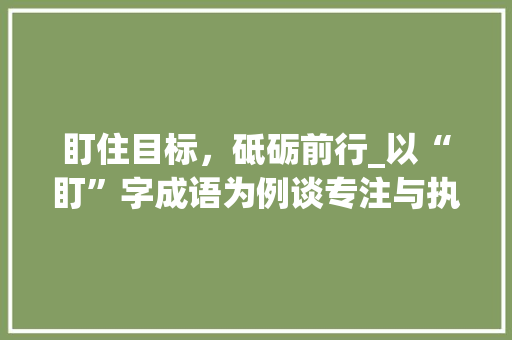 盯住目标，砥砺前行_以“盯”字成语为例谈专注与执行力