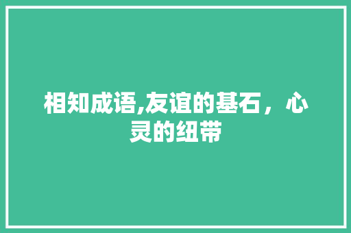 相知成语,友谊的基石，心灵的纽带