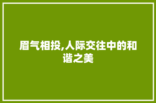 眉气相投,人际交往中的和谐之美