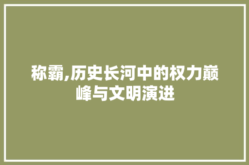 称霸,历史长河中的权力巅峰与文明演进