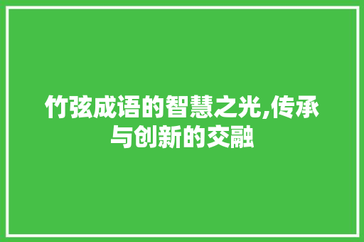 竹弦成语的智慧之光,传承与创新的交融
