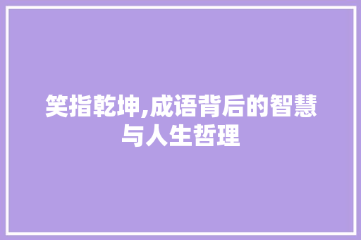 笑指乾坤,成语背后的智慧与人生哲理