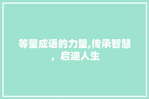 等量成语的力量,传承智慧，启迪人生