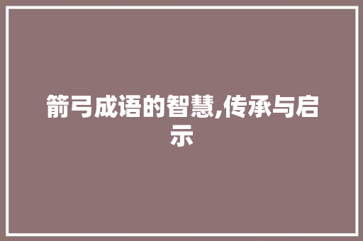 箭弓成语的智慧,传承与启示