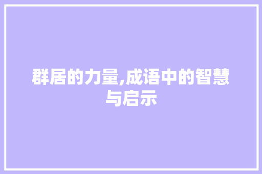群居的力量,成语中的智慧与启示