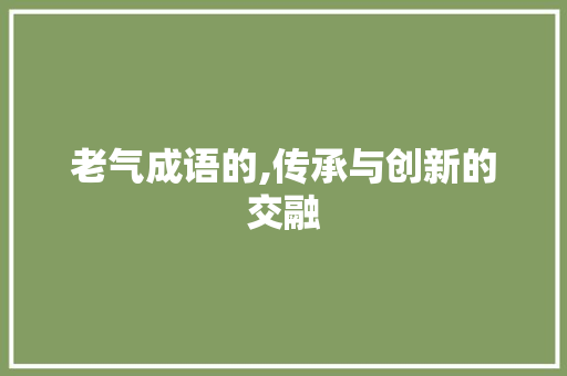 老气成语的,传承与创新的交融