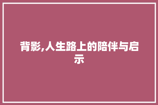 背影,人生路上的陪伴与启示