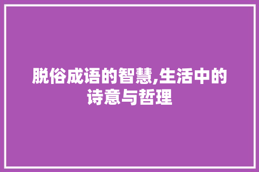 脱俗成语的智慧,生活中的诗意与哲理