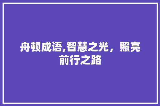 舟顿成语,智慧之光，照亮前行之路