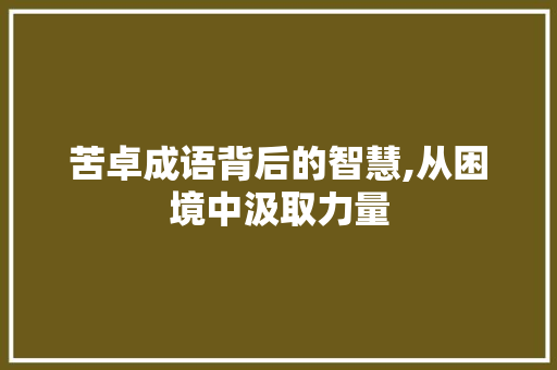 苦卓成语背后的智慧,从困境中汲取力量