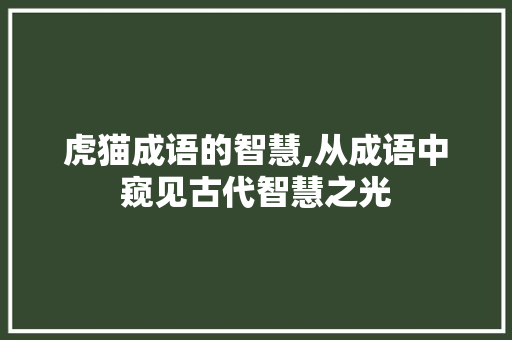 虎猫成语的智慧,从成语中窥见古代智慧之光