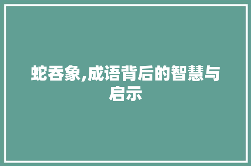 蛇吞象,成语背后的智慧与启示