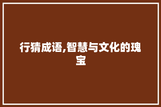 行猜成语,智慧与文化的瑰宝