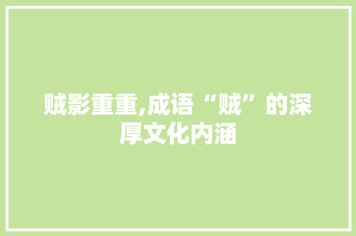 贼影重重,成语“贼”的深厚文化内涵