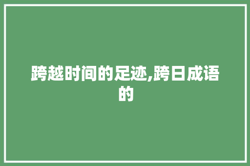跨越时间的足迹,跨日成语的