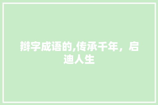 辫字成语的,传承千年，启迪人生