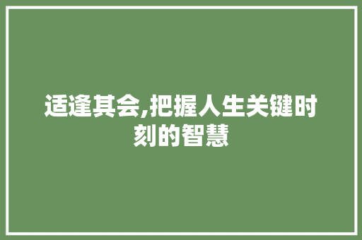 适逢其会,把握人生关键时刻的智慧