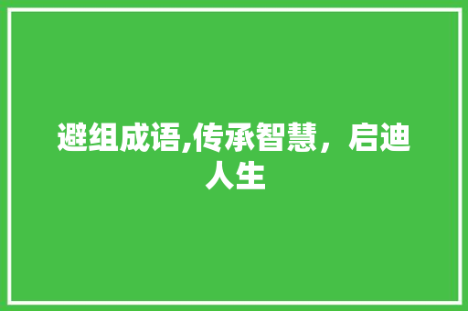 避组成语,传承智慧，启迪人生