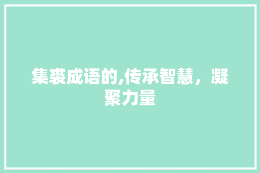 集裘成语的,传承智慧，凝聚力量