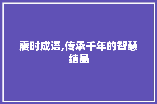 震时成语,传承千年的智慧结晶