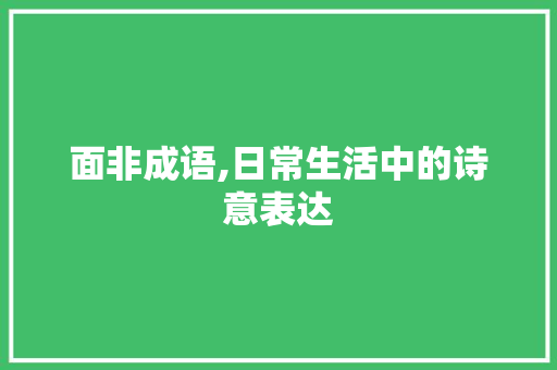 面非成语,日常生活中的诗意表达