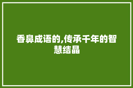 香鼻成语的,传承千年的智慧结晶