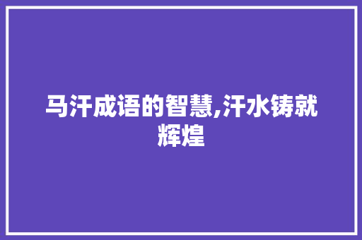 马汗成语的智慧,汗水铸就辉煌