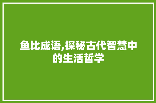 鱼比成语,探秘古代智慧中的生活哲学