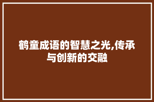 鹤童成语的智慧之光,传承与创新的交融