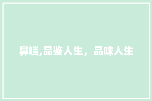 鼻嗤,品鉴人生，品味人生
