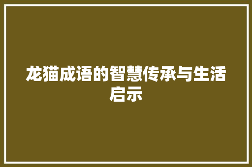 龙猫成语的智慧传承与生活启示