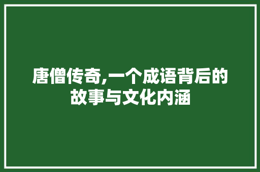 唐僧传奇,一个成语背后的故事与文化内涵