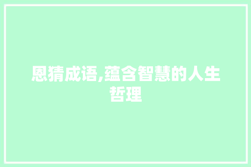 恩猜成语,蕴含智慧的人生哲理