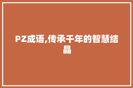 PZ成语,传承千年的智慧结晶