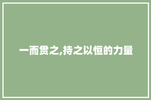 一而贯之,持之以恒的力量