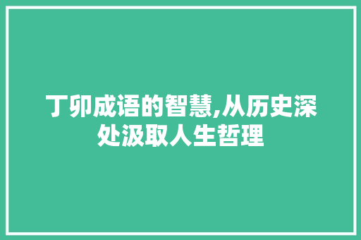 丁卯成语的智慧,从历史深处汲取人生哲理