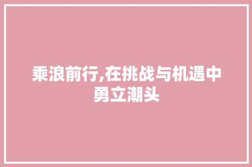 乘浪前行,在挑战与机遇中勇立潮头
