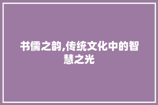书儒之韵,传统文化中的智慧之光