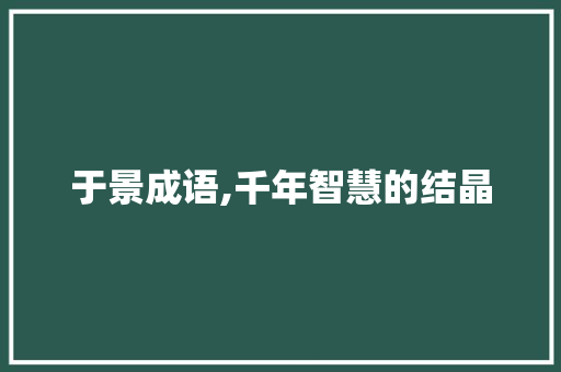 于景成语,千年智慧的结晶