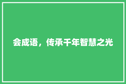 会成语，传承千年智慧之光